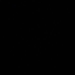 Meet your Posher, Zoe